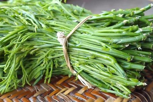 Rau gì đứng cách vài mét vẫn ngửi thấy, giá lên tới 70.000 đồng/kg vẫn đắt khách?