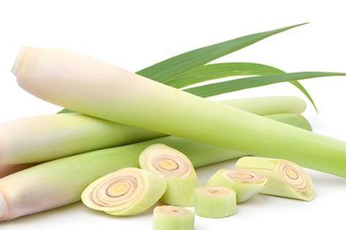 Củ sả chữa bệnh gì?