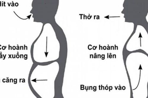 Đột ngột chóng mặt, tim đập nhanh: 6 kỹ thuật thở giúp ổn định nhịp tim trong vài phút