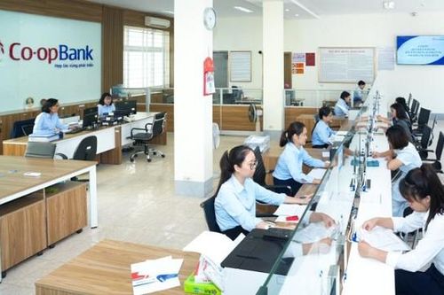 Thanh tra xác định một số tồn tại tại Co-opBank Ninh Bình