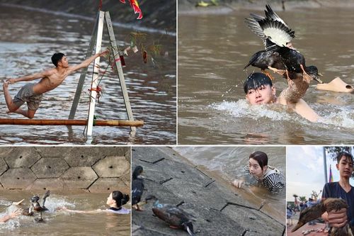 Xem thanh niên làng gốm ở Hà Nội trổ tài ngụp lặn bắt 'lộc vịt'