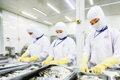 Tìm giải pháp để nông sản trụ vững, mở rộng thị trường