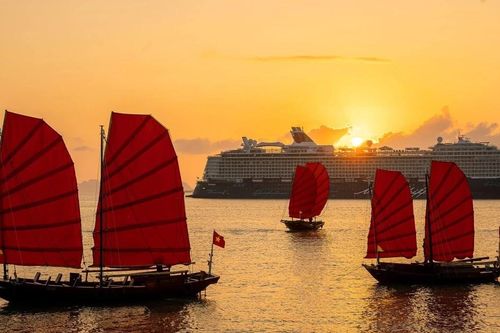 Vì sao thuyền buồm đỏ ven vịnh Hạ Long phải tạm ngưng sau thời gian gây sốt?