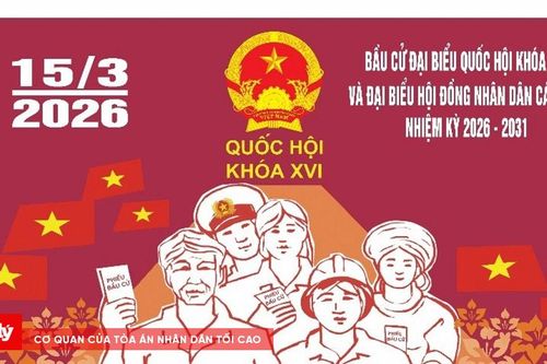 Người cao tuổi, sức khỏe yếu sẽ thực hiện quyền bầu cử thế nào?