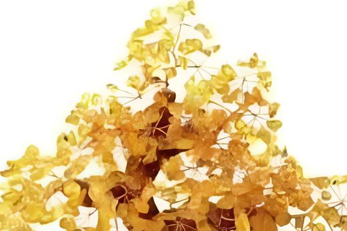 6 linh vật phong thủy nên có trong căn hộ tiền tỷ, đặt đúng lộc vào nhà