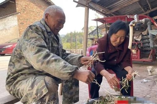Cụ ông 'bắn rap' tỏ tình vợ trong tiệc mừng thọ 80 tuổi, cả nhà rơi nước mắt