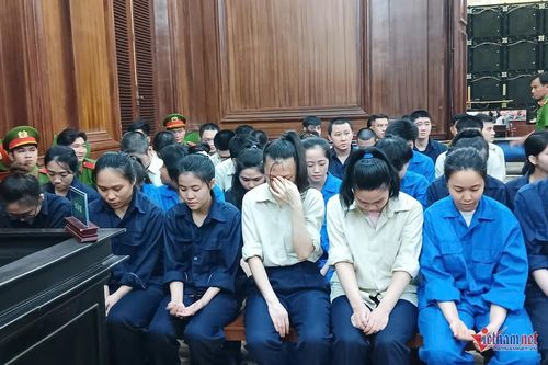 Dụ dỗ hơn 200 chủ thẻ tín dụng chuyển tiền để chiếm đoạt hàng chục tỷ đồng