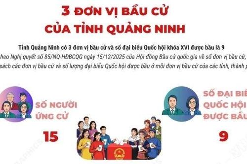 Ba đơn vị bầu cử của tỉnh Quảng Ninh