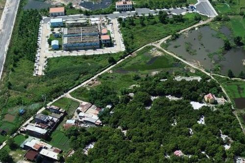 Đà Nẵng: Người dân quyết giữ rừng ngay đô thị giữa thời đất vàng