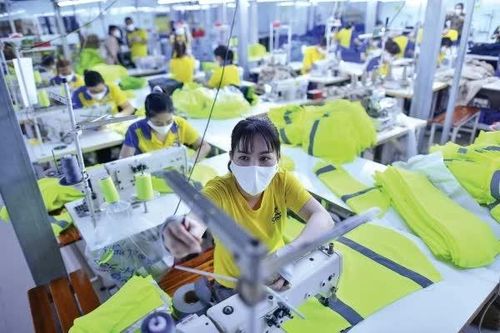 Hỗ trợ pháp lý cho doanh nghiệp và hộ kinh doanh trên toàn quốc
