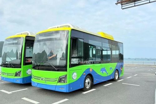 TPHCM đưa vào hoạt động thêm 169 xe buýt điện