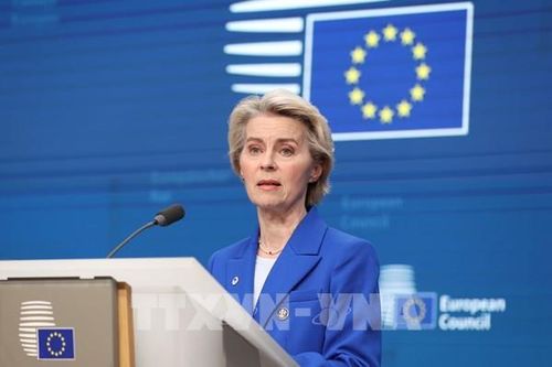 Liên minh châu Âu áp dụng tạm thời FTA với Mercosur