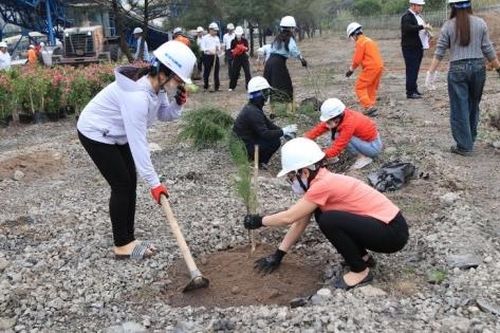 Gần 1.500 cây xanh được trồng tại Nhiệt điện Mông Dương