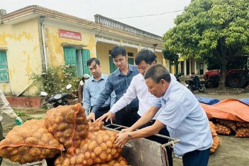 Phát triển vùng sản xuất cây trồng phục vụ chế biến