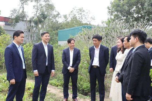 Đổi mới tư duy, đẩy mạnh bảo tồn cây dược liệu gắn với hình thành chuỗi giá trị bền vững