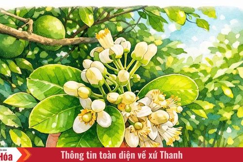 Chạm vào tháng Ba..