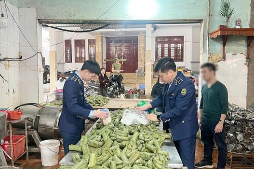 Khởi tố chủ cơ sở sản xuất giò chả dùng hàn the