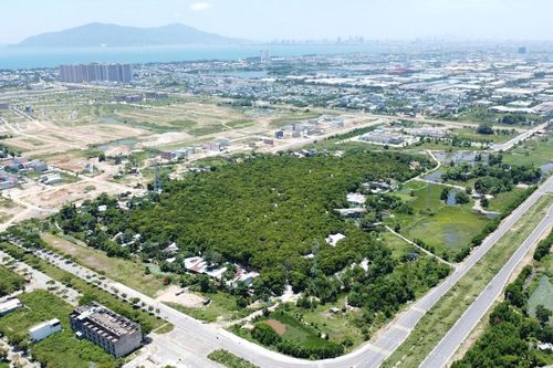 Sớm xếp hạng rừng Trung Sơn là di tích cấp thành phố