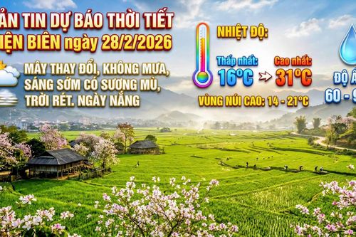 Bản tin Dự báo thời tiết ngày 28/2/2026