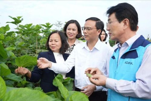 Gỡ nút thắt chuỗi giá trị nông nghiệp ở Trấn Yên