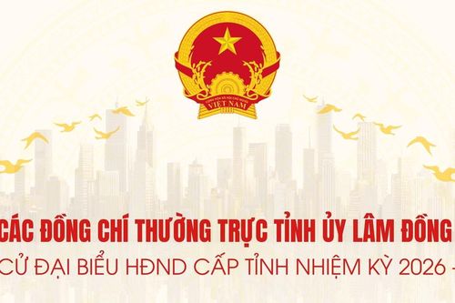 Các đồng chí Thường trực Tỉnh ủy Lâm Đồng ứng cử đại biểu HĐND cấp tỉnh nhiệm kỳ 2026 - 2031