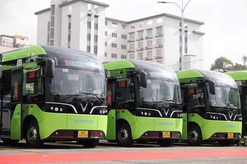 TP Hồ Chí Minh chuyển đổi 9 tuyến xe bus sang xe điện