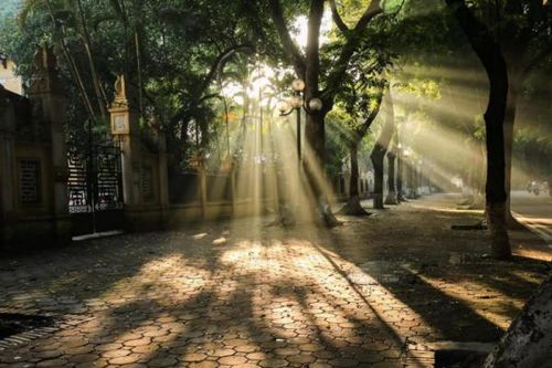 Miền Bắc hửng nắng ấm áp, trời bớt nồm ẩm