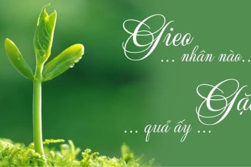 Khi nhân quả bị biến dạng và trở thành công cụ 'dọa'