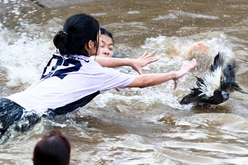 Trai gái làng gốm ở Hà Nội ngụp lặn săn 'lộc vịt' đầu xuân