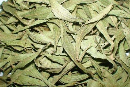 5 công thức trà với cỏ ngọt