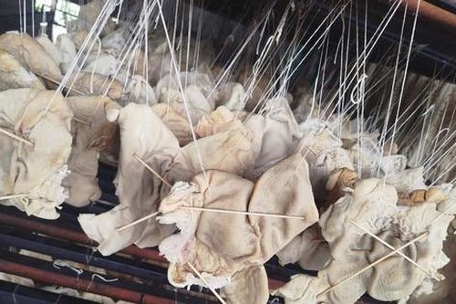 Kiểm tra đột xuất công ty Trường Huy, phát hiện hơn 55 tấn lòng lợn, chân gà không rõ nguồn gốc trong kho lạnh