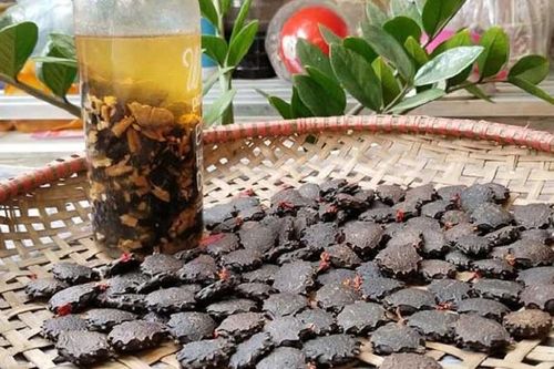 Bài thuốc quý từ loại hạt có độc