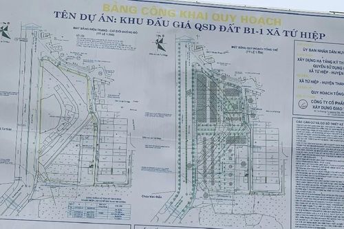 Giao hơn 7.400m2 đất cho Công ty Fortune xây nhà ở thấp tầng ở Thanh Trì