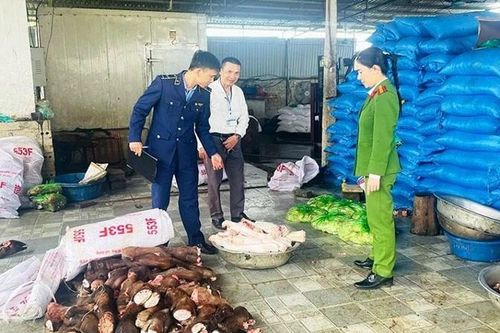 Thu giữ gần 6 tấn thực phẩm bốc mùi, chuẩn bị đưa vào các nhà hàng tiêu thụ