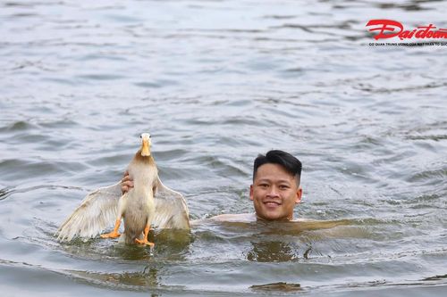 Nghẹt thở màn bắt vịt dưới đầm sâu ở Lại Yên, trai làng tranh thưởng 'khủng'