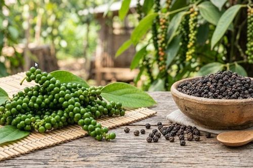 Giá hồ tiêu hôm nay 28.2: Giảm mạnh, mất mốc 149.000 đồng/kg