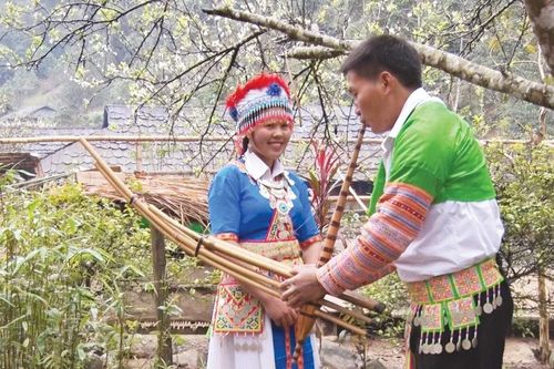 Dưới sắc Xuân năm mới