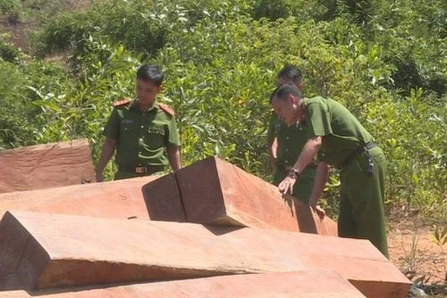 Giám đốc Công ty Lâm nghiệp Ea Kar bị bắt với cáo buộc nhận hối lộ