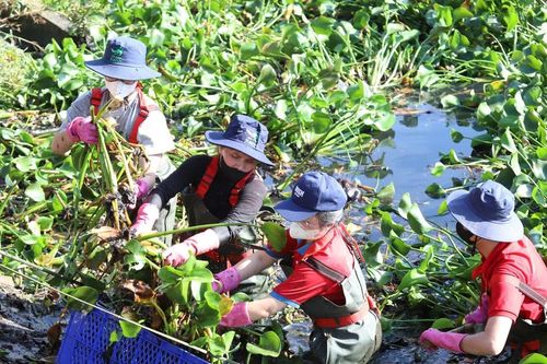 Khởi động Tháng Thanh niên, tuổi trẻ TPHCM chung sức khơi thông dòng chảy kênh rạch