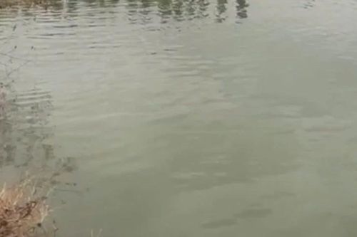 Tìm thấy thi thể người mẹ trẻ đang mang thai và con gái dưới hồ nước ở Đắk Lắk