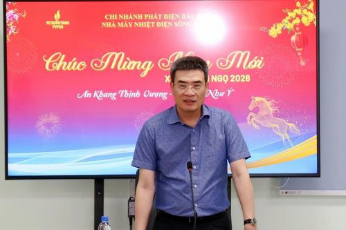Phó Tổng giám đốc Petrovietnam Dương Mạnh Sơn: Tối ưu đầu tư, nâng hiệu quả vận hành NMNĐ Sông Hậu 1