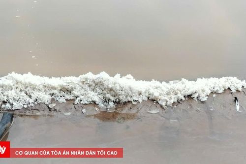 Cà Mau: Hàng ngàn tấn muối tan thành nước sau cơn mưa trái mùa