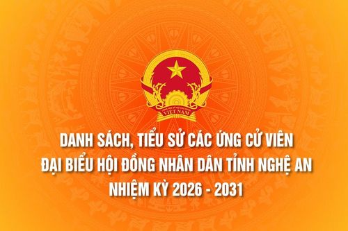 Danh sách, tiểu sử các ứng cử viên Đại biểu Hội đồng Nhân dân tỉnh Nghệ An nhiệm kỳ 2026 - 2031