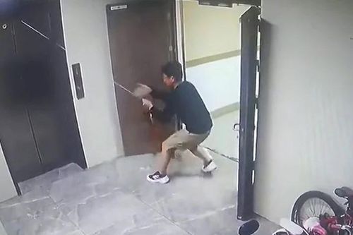 Mắc dây xích vào cửa thang máy, chú chó được giải cứu trong gang tấc