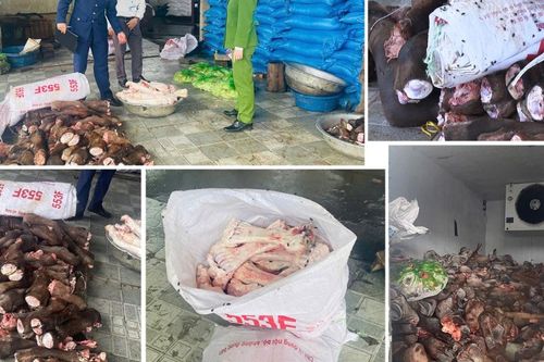 Đột kích 2 kho lạnh, phát hiện gần 6 tấn thực phẩm trôi nổi