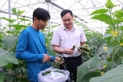 Đánh thức đồng quê
