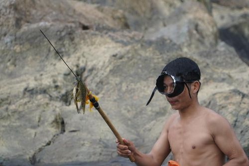 Mùa săn cá niên trên dòng sông Tranh