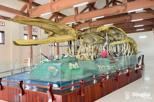 Lăng Tân - nơi thờ 2 ngọc cốt cá Ông