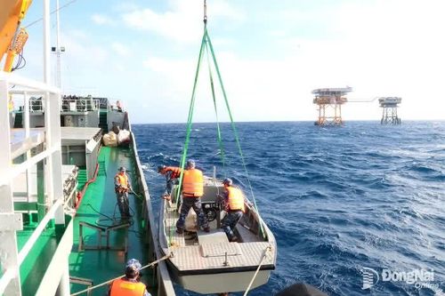 Những 'chiến binh' thầm lặng giữa biển khơi