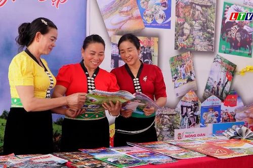 ẤN TƯỢNG KHÔNG GIAN TRƯNG BÀY BÁO XUÂN BÍNH NGỌ NĂM 2026